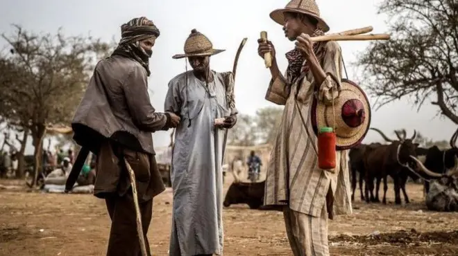 Aworan afihan awọn Fulani