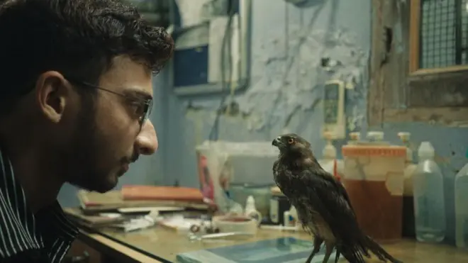 صحنهای از فیلم، یکی از شخصیتها در کنار یک پرنده شکاری