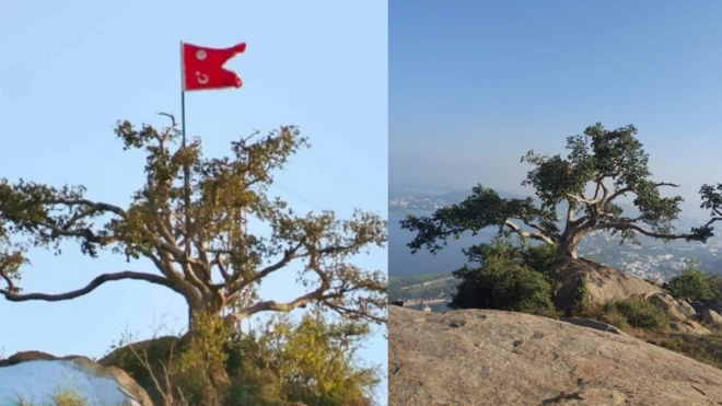 திருப்பரங்குன்றம், சுப்ரமணிய சுவாமி கோவில், மதுரை, சிக்கந்தர் தர்கா