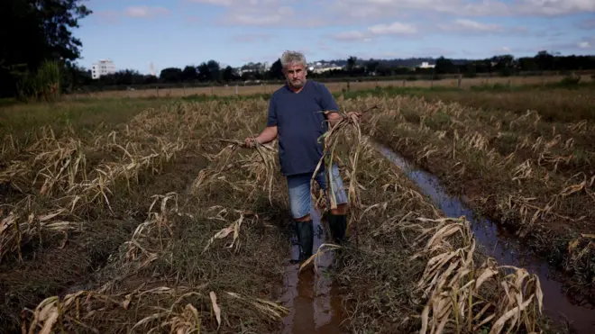 Homembetano 2024meia idade segura plantas destruídasbetano 2024meio a um campo destruído