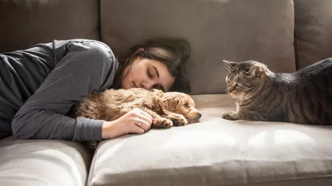 Mulher deitada com cachorro e gato