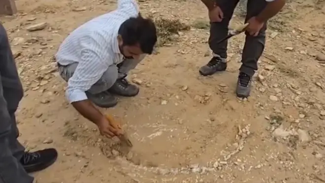 డైనోసార్ శిలాజాలు 