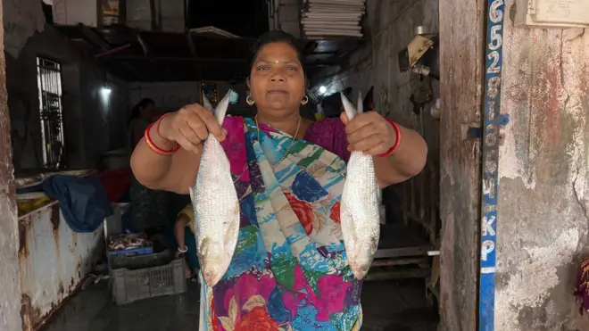 ભરૂચના ભાડભૂત ખાતે મહિલા માછીમારના બંને હાથમાં હિલ્સા માછલી 