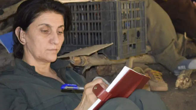 صالحه آق‌بیگ را رسانه‌های دولتی ایران و ترکیه مسئول شاخه ایران حزب کارگران کردستان (پ ک ک) معرفی کرده‌اند