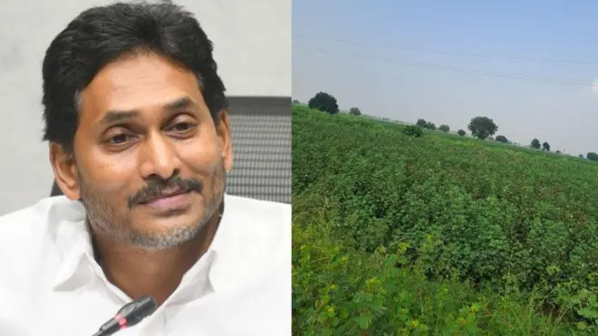 జగన్, అటవీ భూములు 