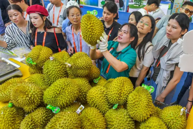 Người tiêu dùng xem sầu riêng Việt Nam tại Triển lãm Trung Quốc - ASEAN lần thứ 21 ở Nam Ninh, Trung Quốc hồi năm 2024