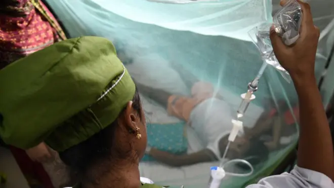 হাসপাতালে ডেঙ্গু রোগী