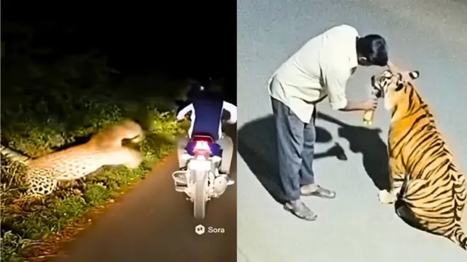 एआयने तयार केलेले व्हीडिओ