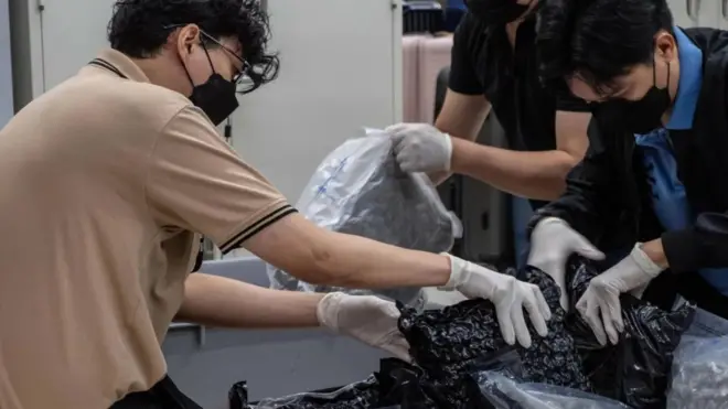 泰国走私至英国的大麻数量激增 政府重列大麻为毒品