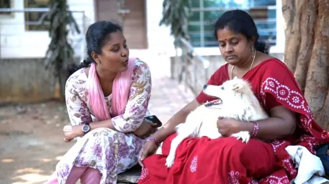 ఆంధ్రప్రదేశ్, పెంపుడు జంతువులు, ఆరోగ్యం