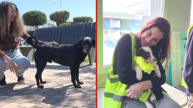 „Узајамно поверење и љубав”: Како су блокаде спојиле студенте и напуштене псе