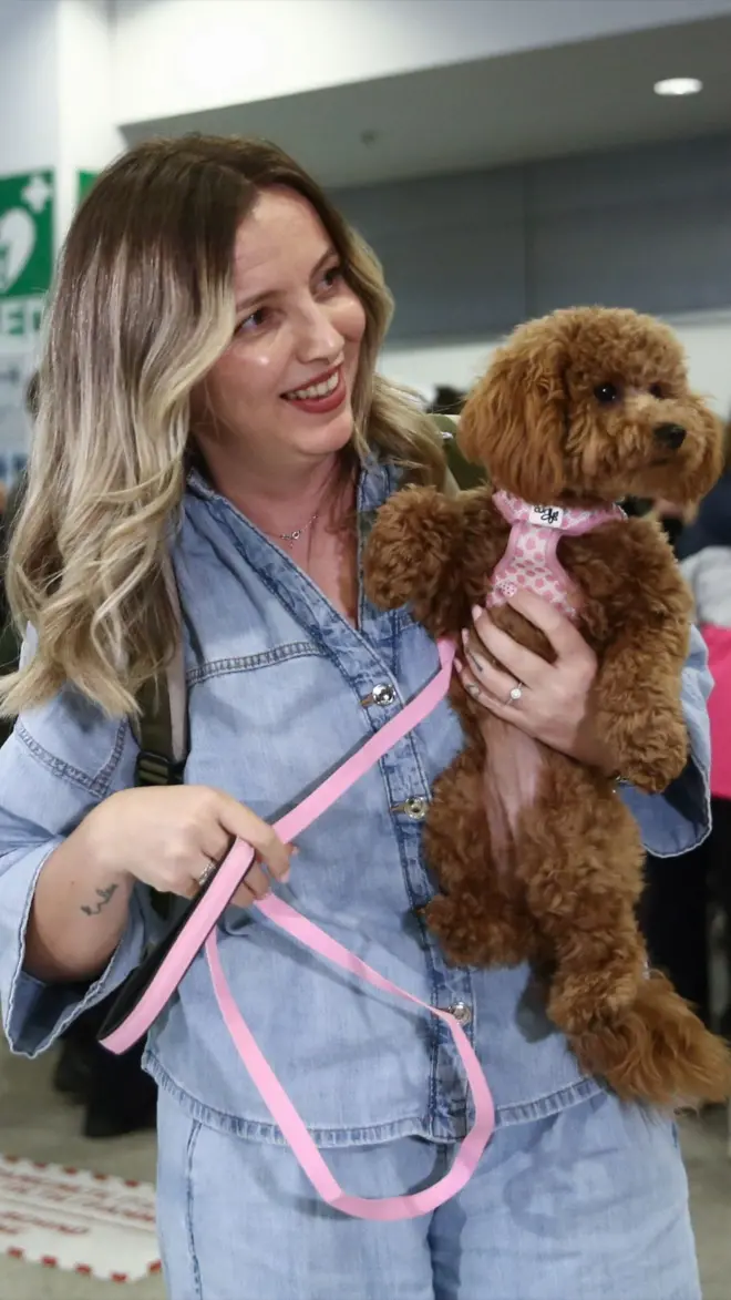 Poseban let za putnike i njihove ljubimce sa Bliskog istoka