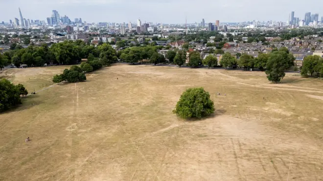 ロンドンのペッカム・コモンに広がる枯れ草の空撮写真
