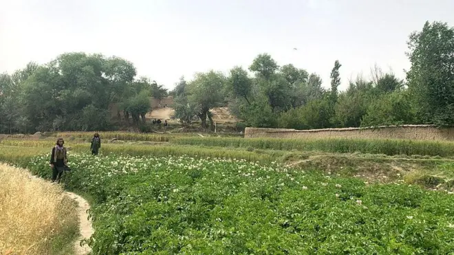 طالبان در اندراب