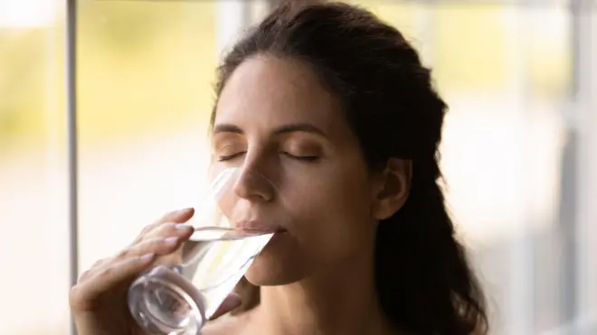 પીવાનું પાણી, સ્વાસ્થ્ય, પોષકતત્ત્વો, બીબીસી ગુજરાતી