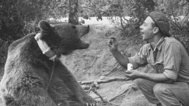 سربازی به خرس غذا می‌دهد