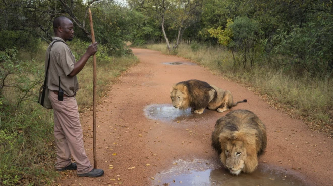 «Иллюзия антропоцена»