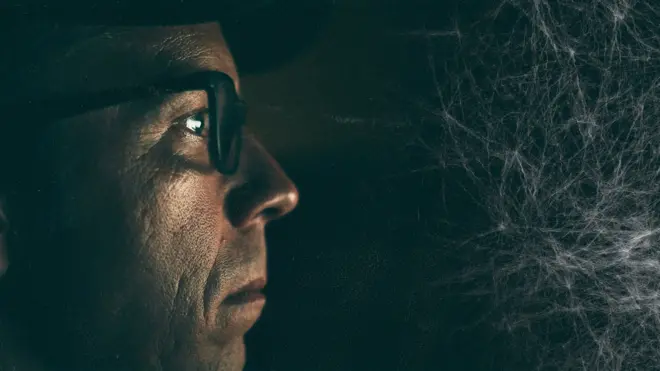 Мужчина в очках смотрит на паутину.