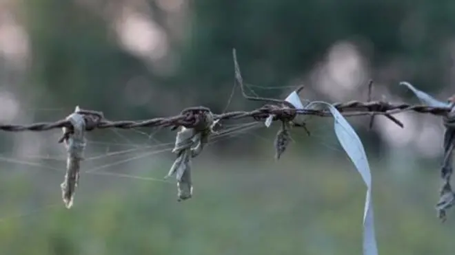 ہاتھرس ریپ کیس