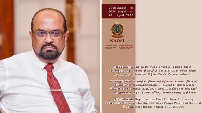 විගණන වාර්තාව