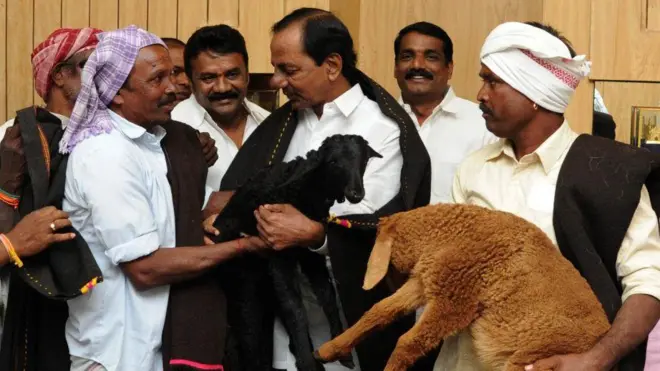 తెలంగాణలో గొర్రెల పంపిణీ పథకం