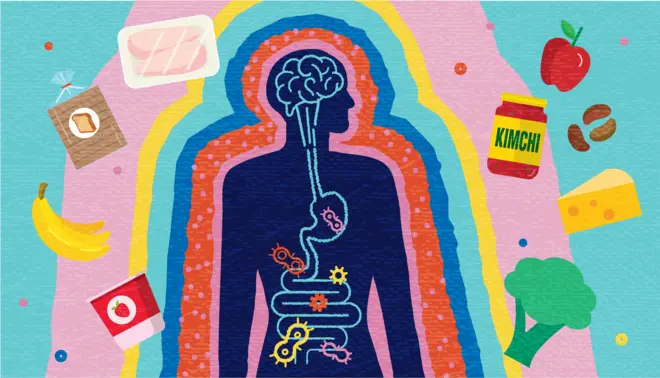 Ilustração do corpo humano cercado por diferentes tipos de alimentos