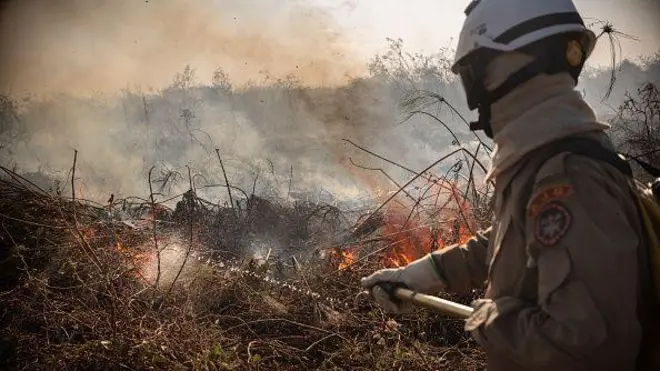 Brigadista tenta controlar incêndiobet ganhaCorumbá, MS