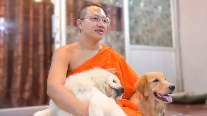 පන්සල අසල අතහැර දමා ගිය සුරතල් සතුන් රැකබලා ගන්නා හිමිනමක්