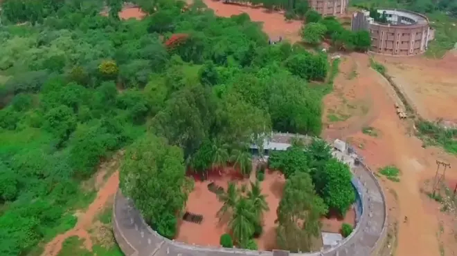 ఏయూలో చెట్లు