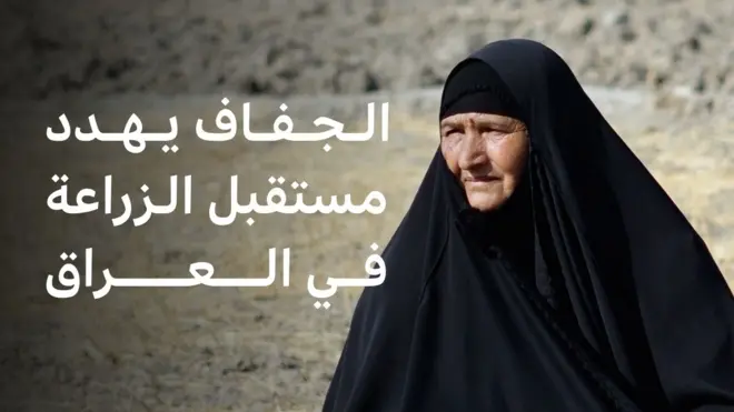 الأزمة المائية في العراق تفرض قيوداً على موسم الزراعة الشتوي المقبل