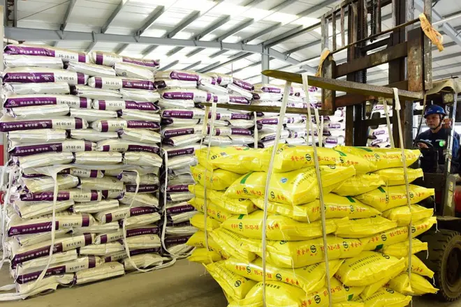 عامل يقود رافعة شوكية لنقل الأسمدة المركبة، معبئة داخل شِوالات بلاستيكية وتصطف فوق بعضه البعض.