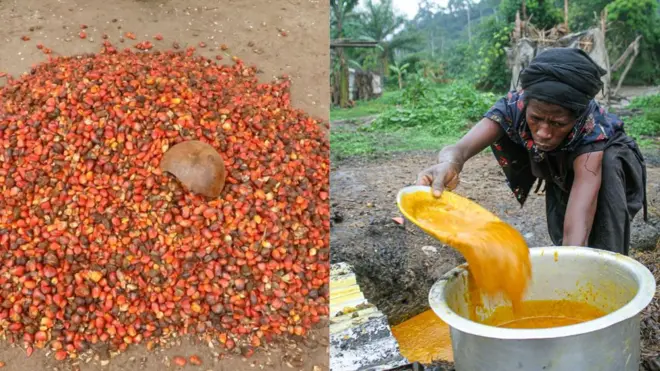 Aworan ẹyin ọpẹ ati obinrin to n da epo