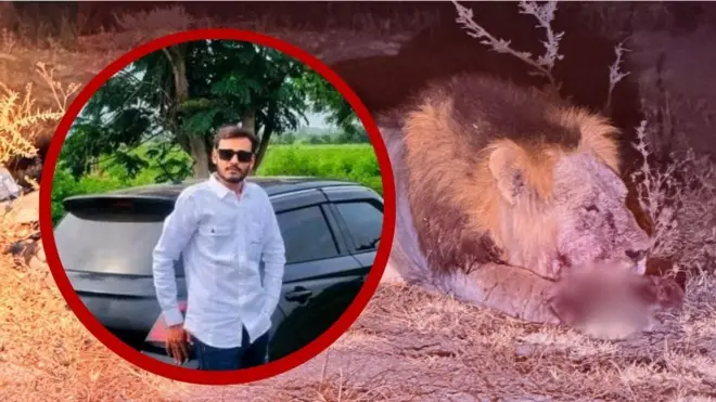 અમરેલીમાં સિંહે હુમલો કરતાં યુવાનનું મોત