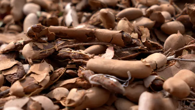 చింతపండు