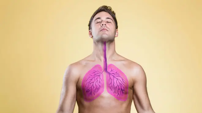 Ілюстративне зображення легенів на тілі чоловіка