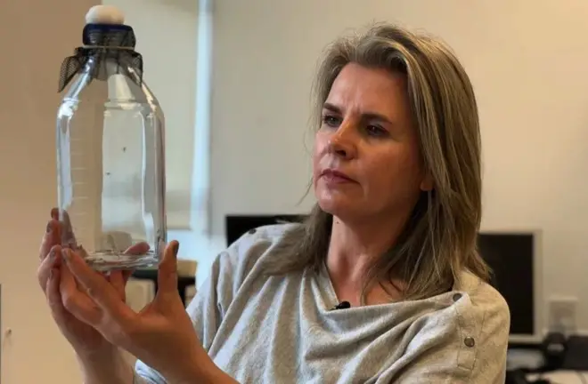 كلير سترود تحمل وعاء مخبريا يحتوي على بعوض