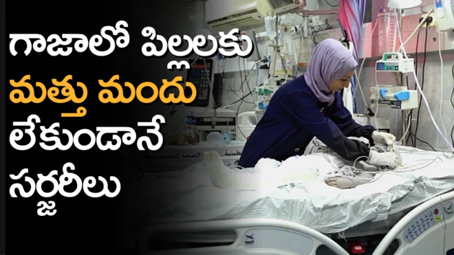 గాజా ఆస్పత్రి