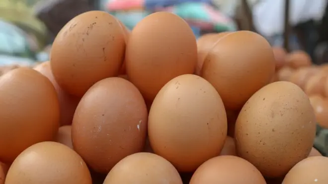 প্রথমবারের মতো দেশে ডিমের দাম নির্ধারন