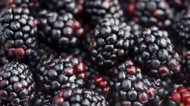 బ్లాక్ బెర్రీలు