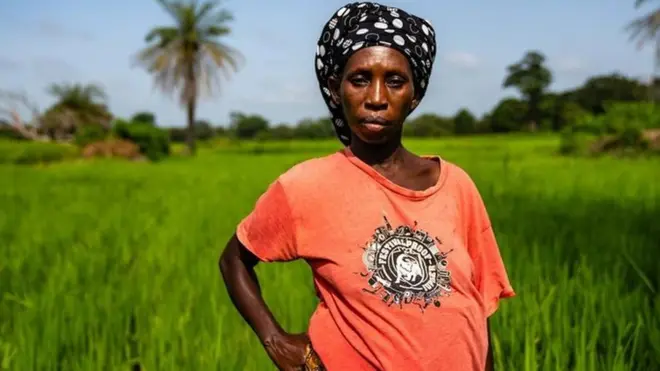 tarlada çalışan hamile kadın 