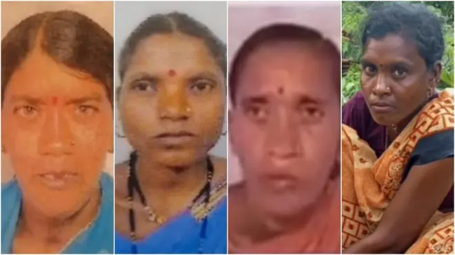 तेंदूपत्ता तोडायला गेलेल्या महिलांचा वाघाच्या हल्लात मृत्यू