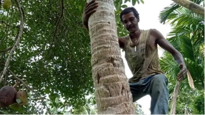 करुप्पैया कुमार