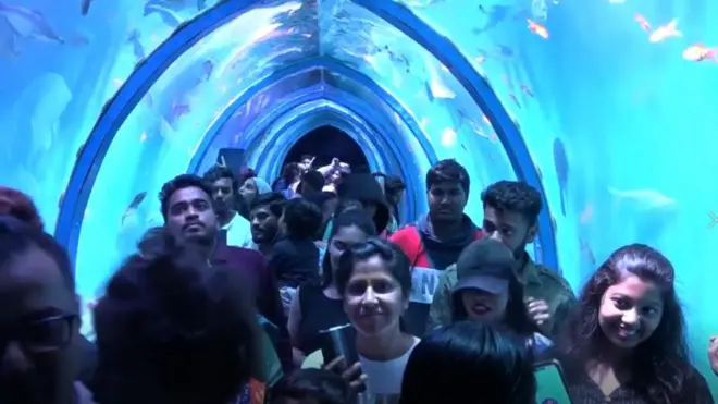 చేపల ఎగ్జిబిషన్