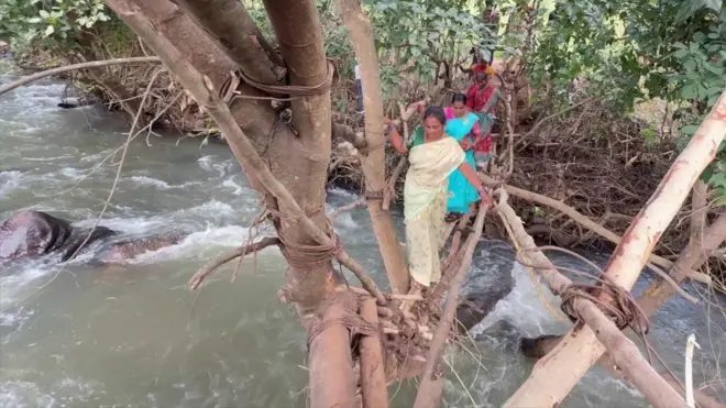 ఆంధ్రప్రదేశ్, అల్లూరి సీతారామరాజు జిల్లా, విశాఖ ఏజెన్సీ, గిరిజనులు, జీవితం