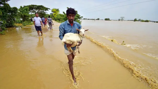 पुरात अडकल्यानंतर काय करावं? काय करू नये?