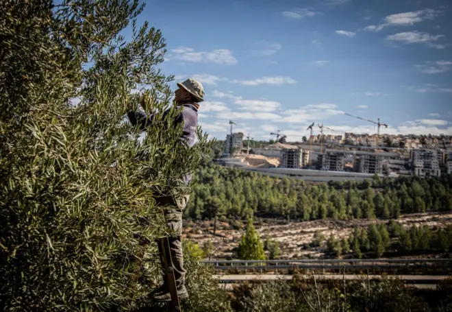 Worker in West Bank village of Al Walajah, south of Jerusalem. 