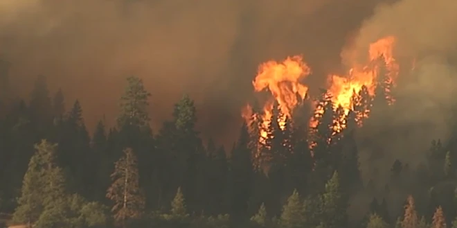 कनाडा के जंगलों में लगी आग