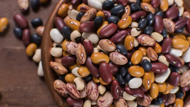 Diferentes tipos de grãos de feijão