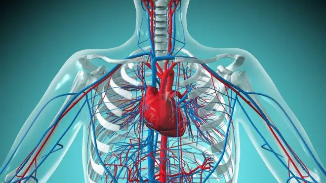 వయోభారం 