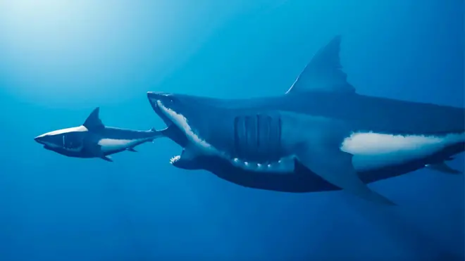 ความน่ากลัวของเม็กกาโลดอนในภาพยนตร์ อาจไม่ได้เกินจริงนัก